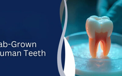 Say Goodbye to Dental Fillings Implants Scientists Just Grew Real Human Teeth in a Lab