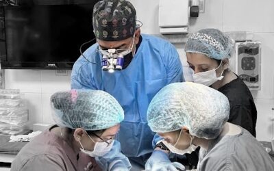 Why Lifelong Learning is Essential for Dentists